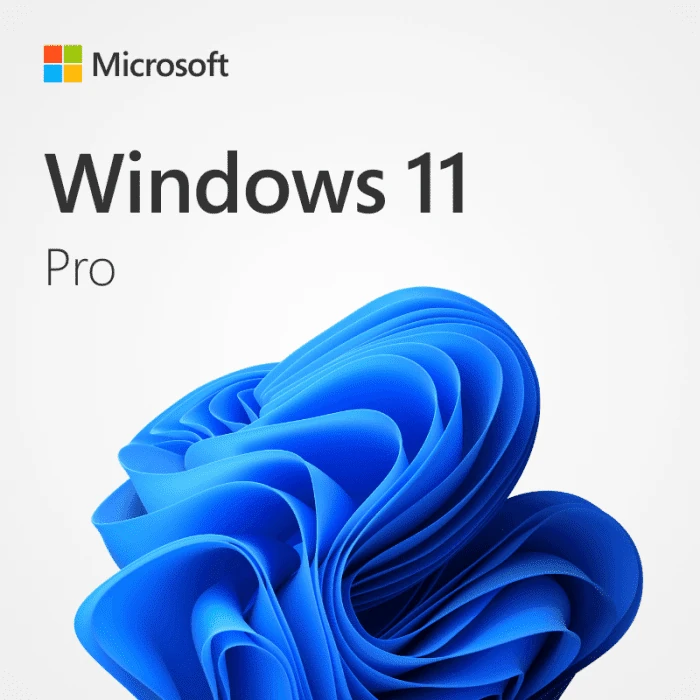 ويندوز 11 بروفيشينال